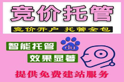 成功案例分享：SEM竞价代运营策略解析